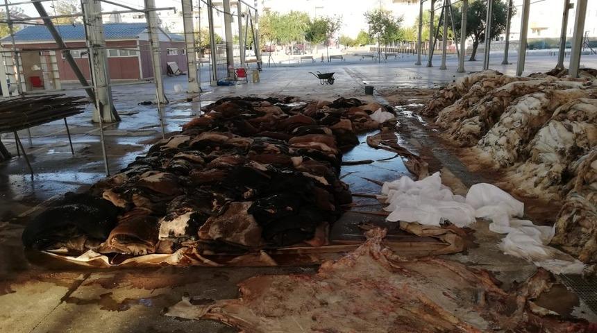 THK, Didim&rsquo;de 3 bin 223 deri topladı