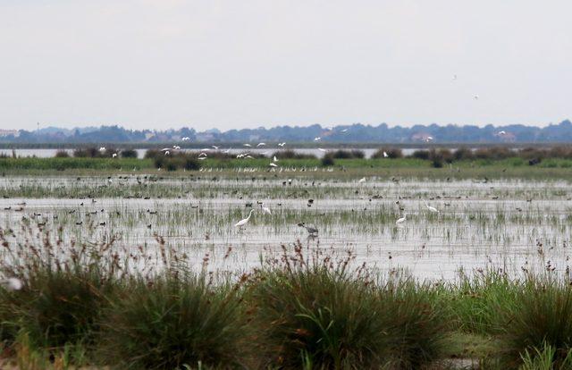 Kızılırmak Deltası UNESCO sürecine hazırlanıyor