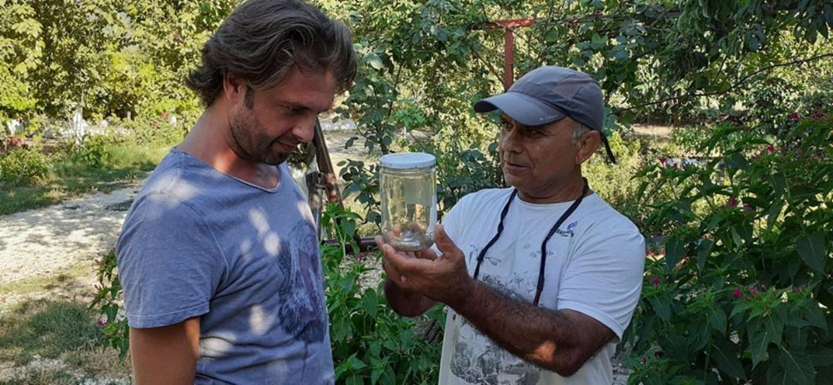 Akrep, kavanozda 37 yavru d&uuml;nyaya getirdi