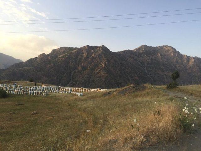 Küresel ısınma Vanlı balcıları teğet geçti 2