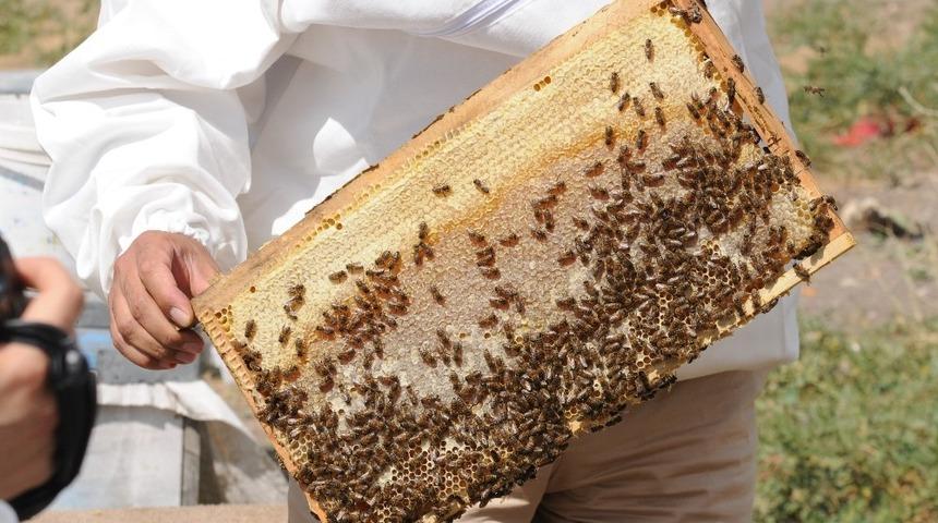 Küresel ısınma Vanlı balcıları teğet geçti