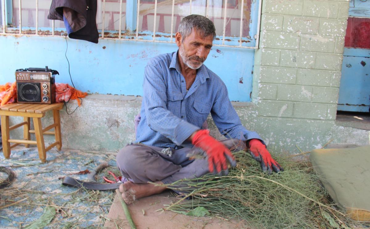 Belediyeler sıraya girdi! Tanesini 5 TL'den satıyor