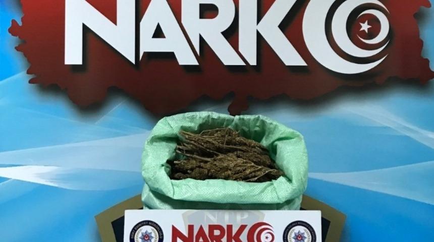 Uyuşturucu ticareti yapan 2 kişi tutuklandı