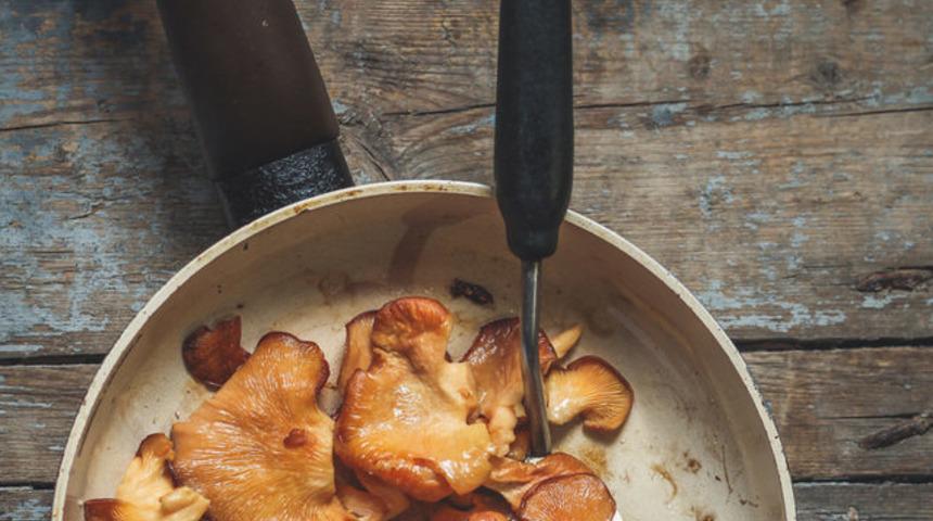 Tadı eti andırıyor ve oldukça ekonomik: İstiridye mantarı yedikçe iyileştiriyor