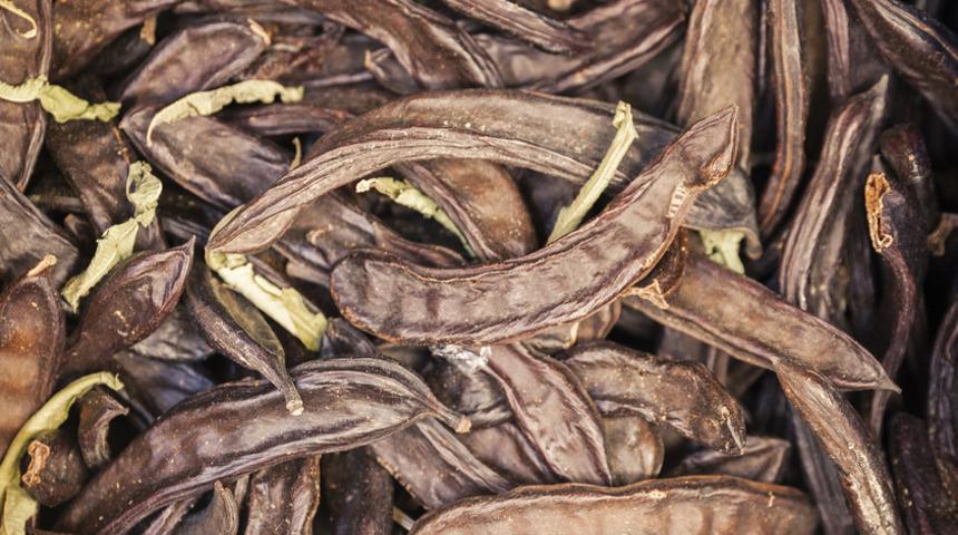 Neye iyi gelmiyor ki! Keçiboynuzu gripten kansere kadar koruyucu 