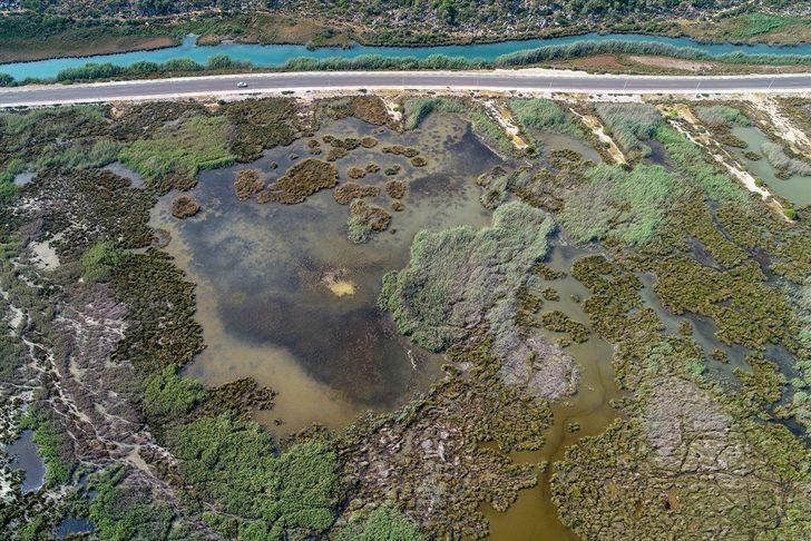 Antalya'da heyecanlandıran keşif G2