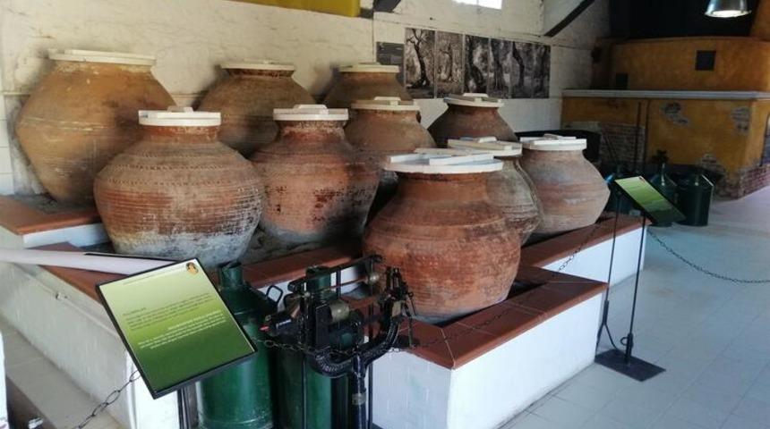 Türkiye’nin ilk zeytinyağı müzesinde asırlık ürünler sergileniyor 