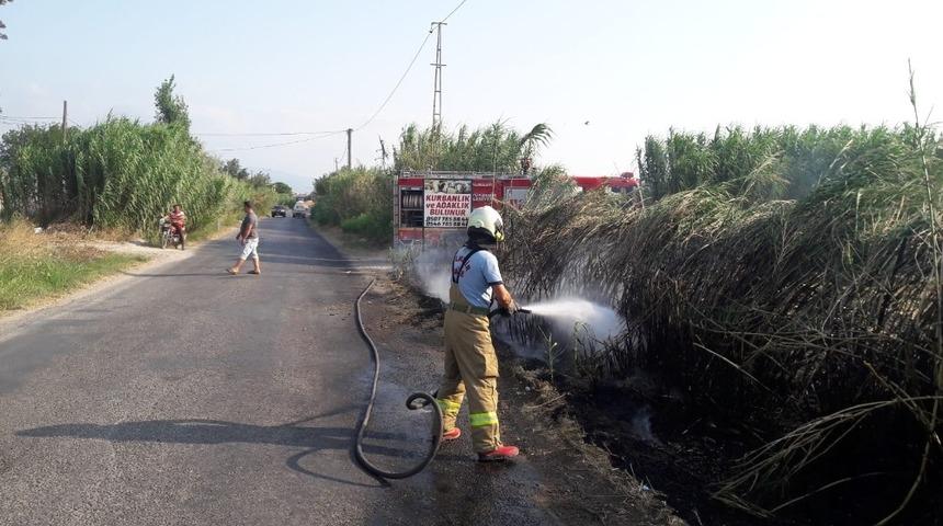 Burhaniye’de sazlık yangını