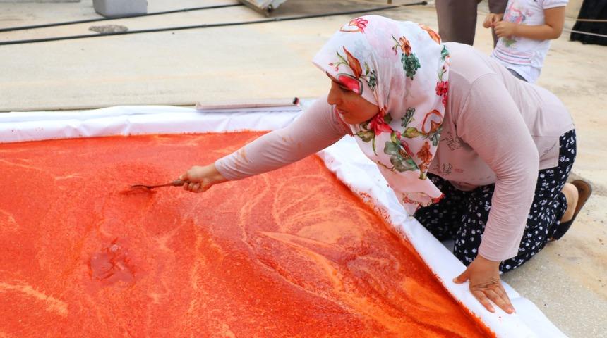 Adana'da biberin salça yolculuğu başladı!