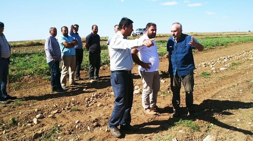 Sungurlu Ziraat odası taş toplama makinası alıyor