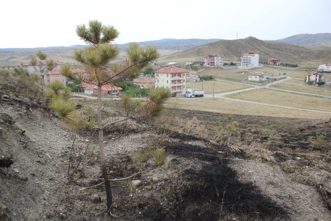 Havai fişek yangın &ccedil;ıkarttı