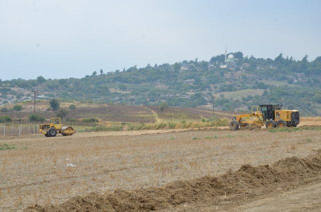 Tarsus’ta ilk kez İncir Şenliği düzenlenecek