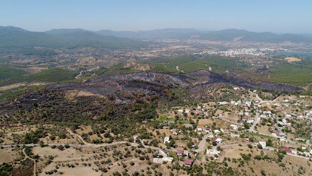 Bodrum'da yangın çıkan bölge drone ile görüntülendi