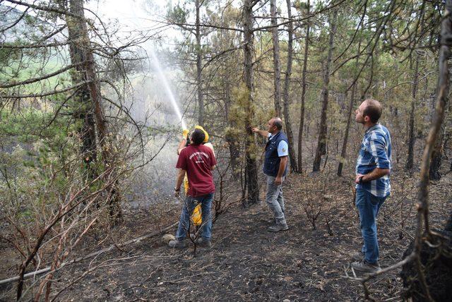 Eskişehir'de, yanan orman alanında hasar tespit çalışması