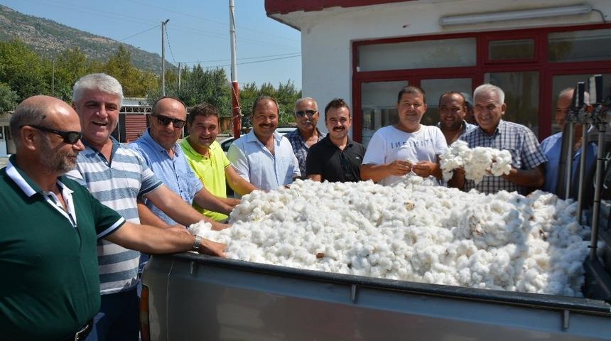 Türkiye’nin pamuk ambarı Söke’de ilk hasat sevinci