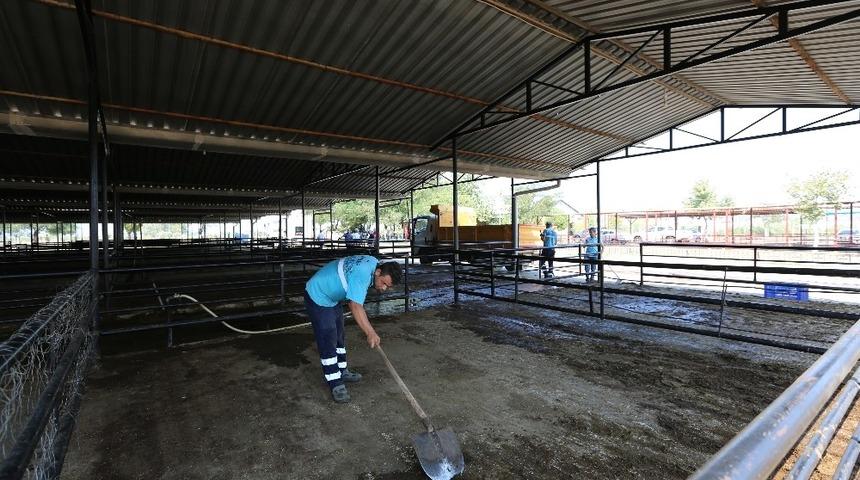 Hayvan pazarında bayram sonrası temizliği