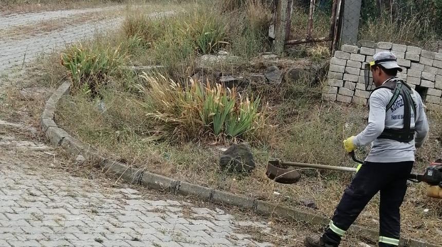 K&ouml;rfez&rsquo;de ot bi&ccedil;me &ccedil;alışmaları s&uuml;r&uuml;yor