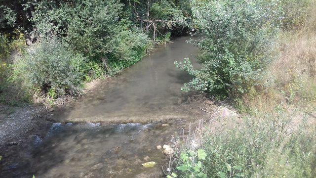 Dere kenarında boğazı kesilmiş erkek cesedi bulundu