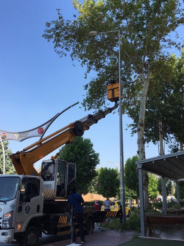 Mersin’de elektrik kesintisine karşı ağaçlar budanıyor