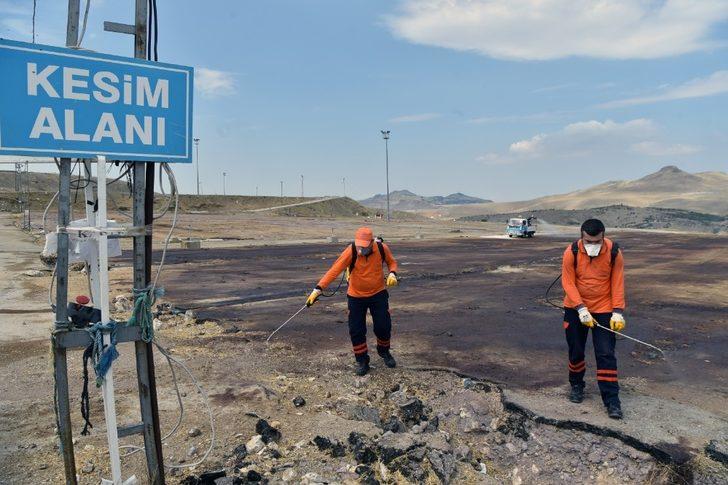 Toplum sağlığı büyükşehir korumasında G1