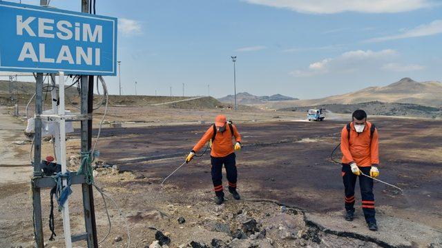 Toplum sağlığı büyükşehir korumasında