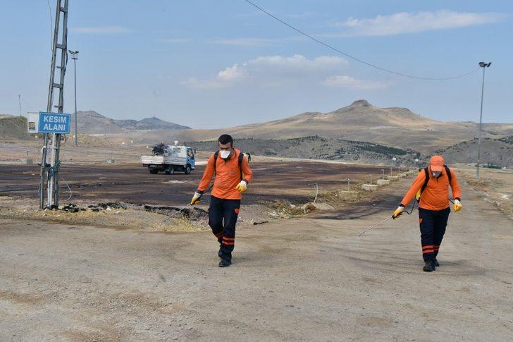 Toplum sağlığı büyükşehir korumasında G2