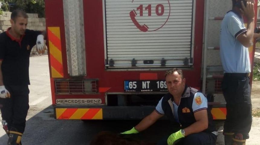 Akköprü deresine düşen inek itfaiye ekipleri tarafından kurtarıldı