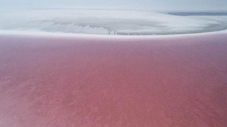 Pembe renge bürünen Tuz Gölü'ne yoğun ilgi  G1