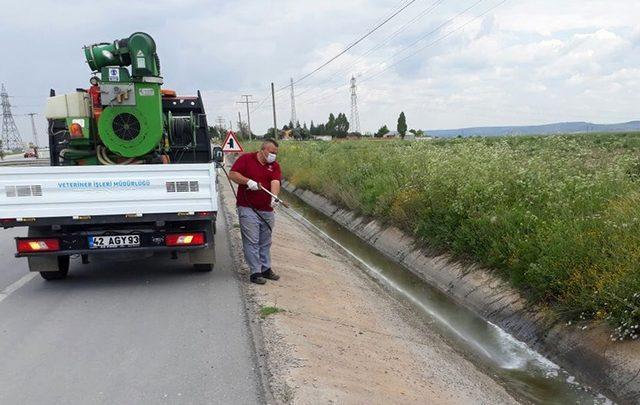 Tepebaşı’nda haşere ile mücadele aralıksız devam ediyor