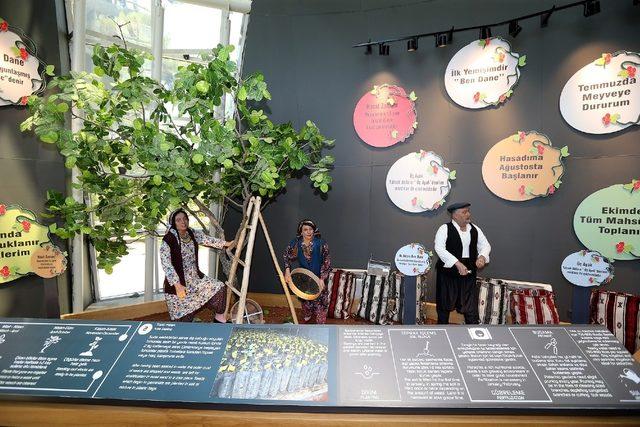 Müzeler Şehri Gaziantep’in bir müzesi daha ödülle taçlandı