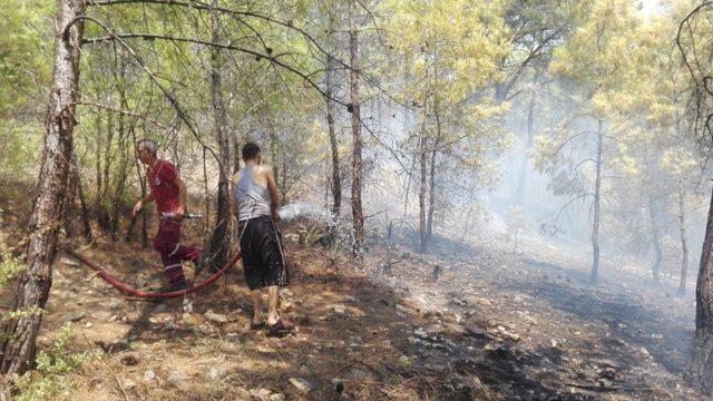 Kumluca’da orman yangını