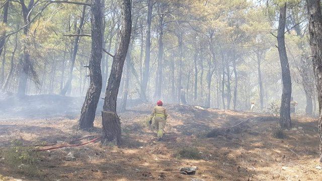 Kumluca’da orman yangını