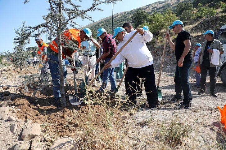 Talas belediye meclis üyeleri Ali Dağı’nda fidan dikti G2