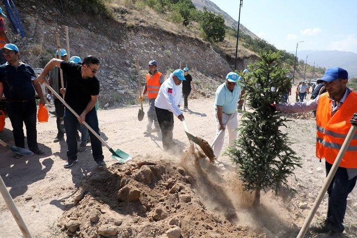 Talas belediye meclis üyeleri Ali Dağı’nda fidan dikti G5