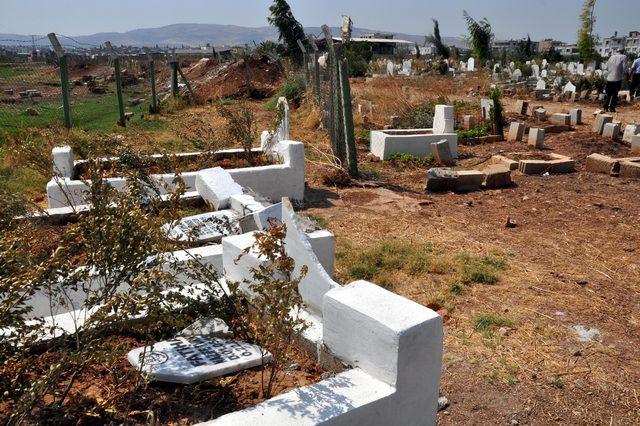 Reyhanlı'daki mezarlıktaki tahribatla ilgili 6 kişi gözaltına alındı