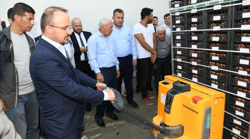 Lapseki’de bölgenin en büyük soğuk hava deposu açıldı