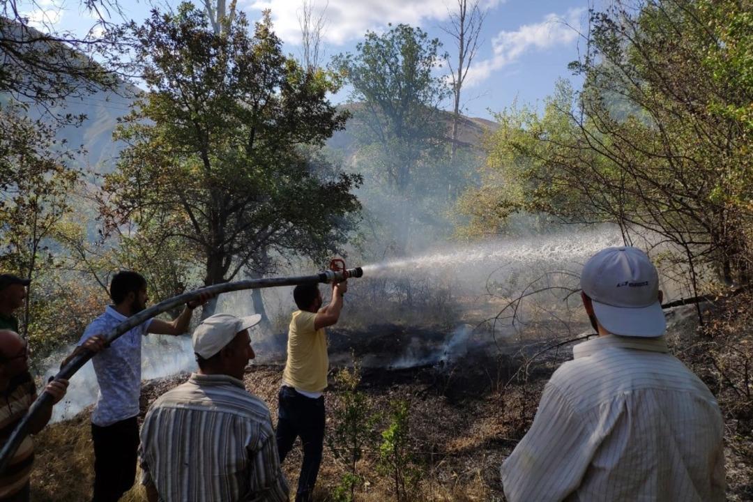 G&uuml;m&uuml;şhane&rsquo;de r&uuml;zgarın kırdığı kavak ağacı y&uuml;ksek gerilim hattına d&uuml;şt&uuml;
