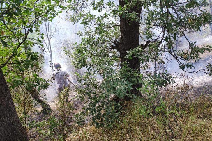 Gümüşhane’de rüzgarın kırdığı kavak ağacı yüksek gerilim hattına düştü G2