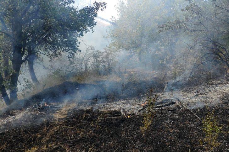 Gümüşhane’de rüzgarın kırdığı kavak ağacı yüksek gerilim hattına düştü G3