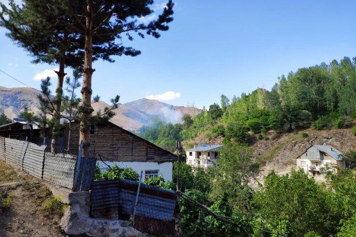 Gümüşhane’de rüzgarın kırdığı kavak ağacı yüksek gerilim hattına düştü G4