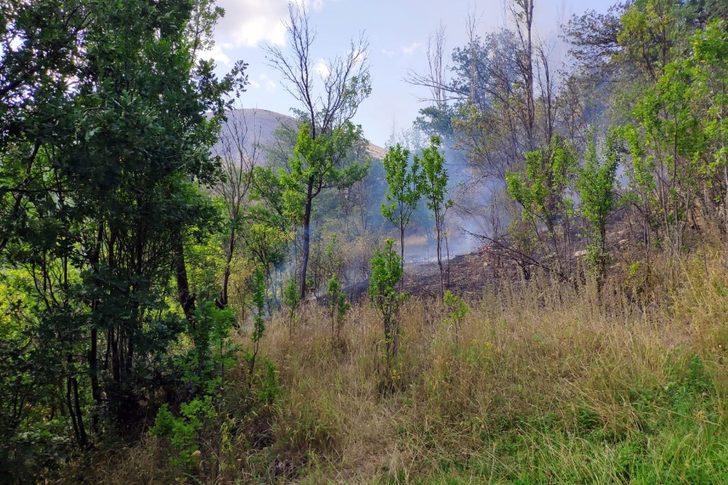 Gümüşhane’de rüzgarın kırdığı kavak ağacı yüksek gerilim hattına düştü G5