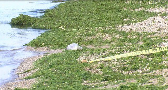 Beylikdüzü sahilinde poşet içinde bebek cesedi bulundu