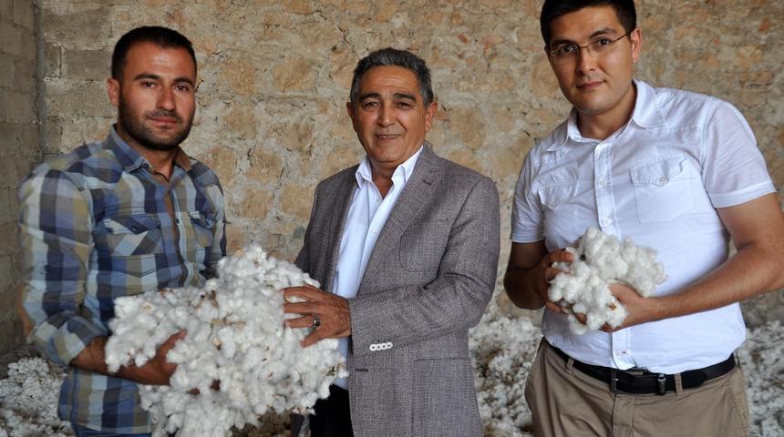Reyhanlı Ticaret Borsası Başkanı Karaca: Pamuk fiyatı en az 5 lira olmalı