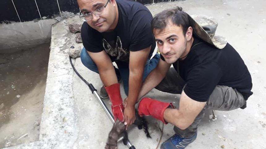 Kars&rsquo;ta kaya sansarı tedaviye alındı