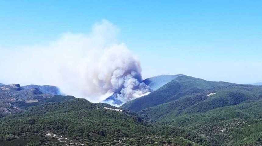Milas&rsquo;ta orman yangını