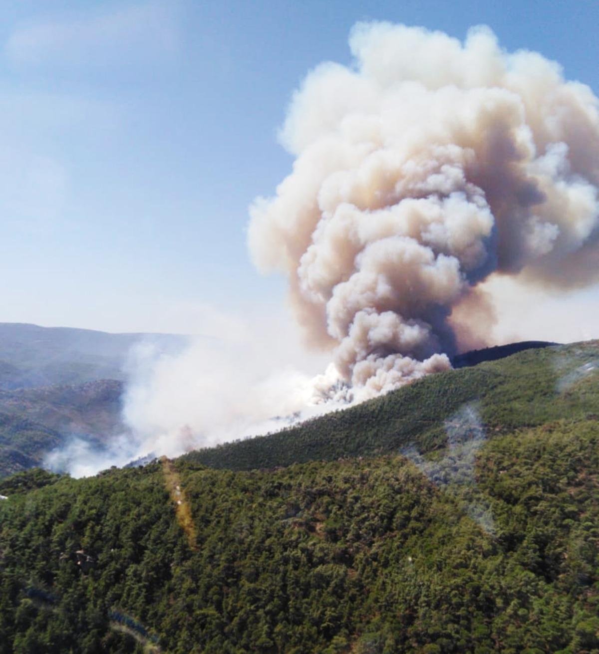 Son dakika: Milas'ta orman yangını! Giderek b&uuml;y&uuml;yor