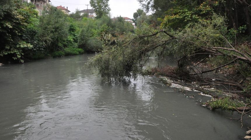Irmağın suyu siyaha b&uuml;r&uuml;nd&uuml;, balık &ouml;l&uuml;mleri başladı