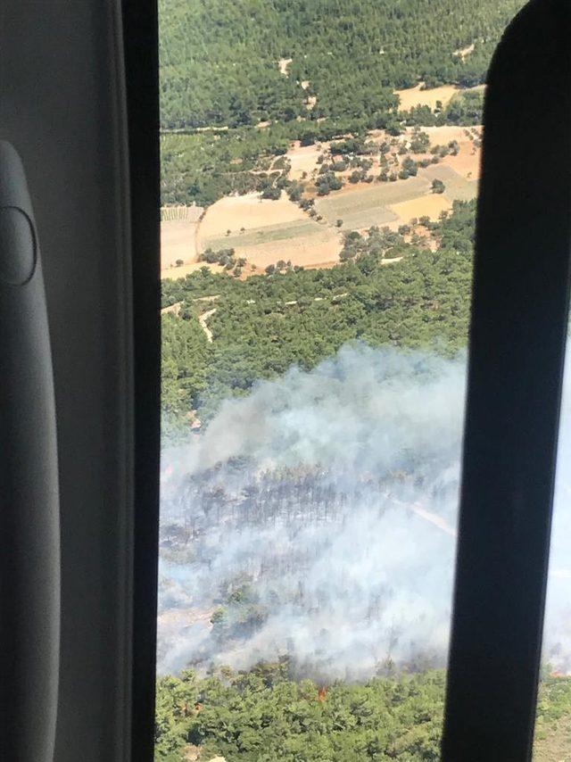 Karabağlar'da orman yangını (2)
