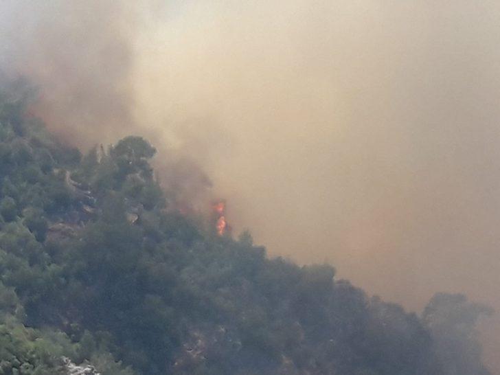 Son dakika: Milas'ta orman yangını! Giderek büyüyor G2