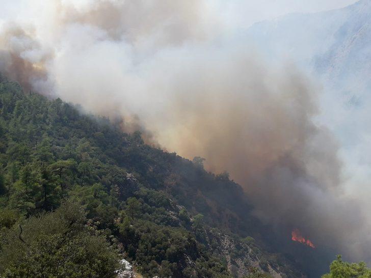 Son dakika: Milas'ta orman yangını! Giderek büyüyor G3
